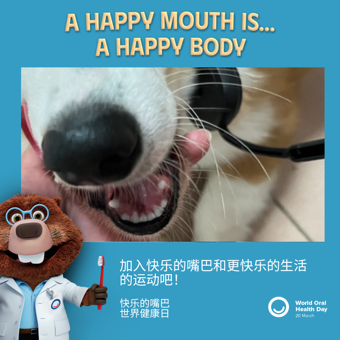 c97daa2971b80e40ca08ba2df424956f.png