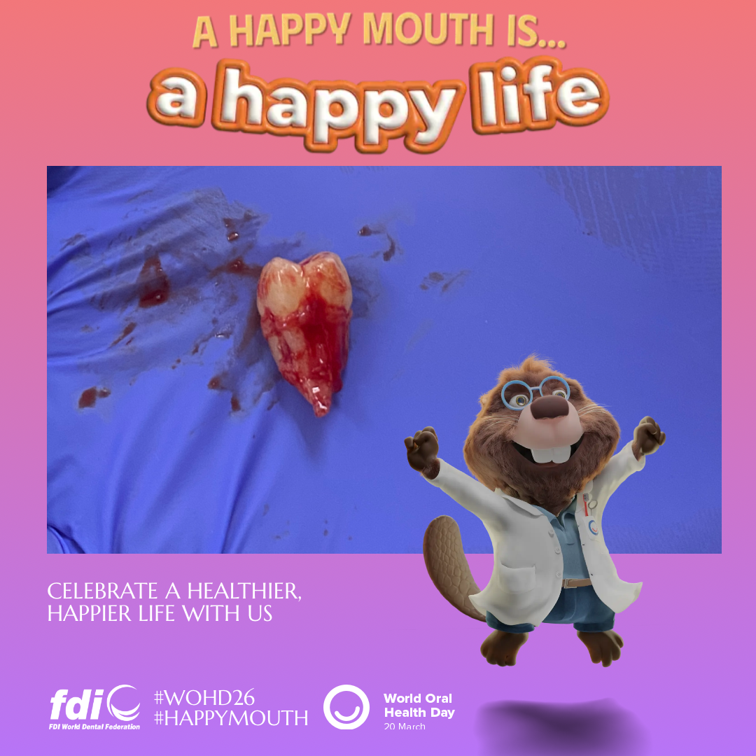 de1ec22c8d37a00839a0905fa88d512b.png